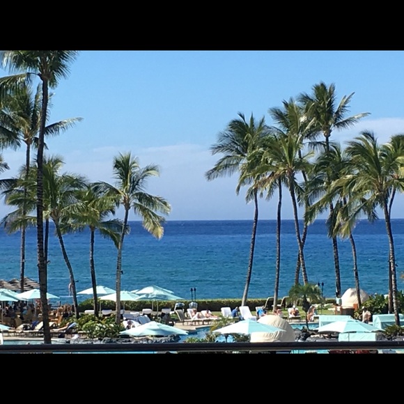 Meet your Posher, Jayme - Picture 1 of 1